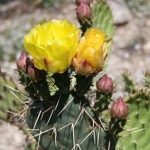 Meet your Posher, Kerry